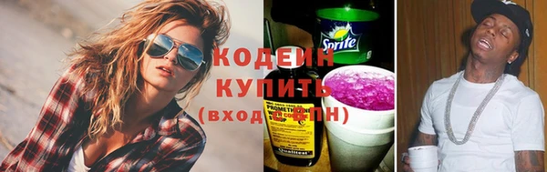 ешки Вяземский