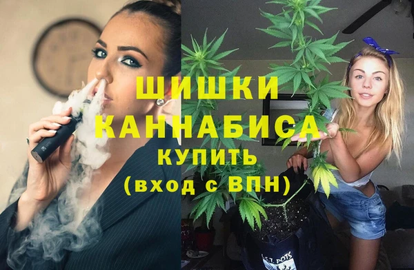 ешки Вяземский