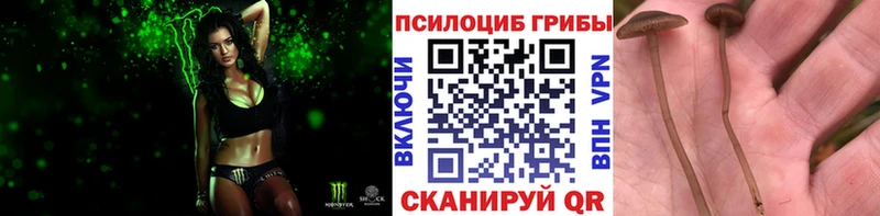 Псилоцибиновые грибы прущие грибы Искитим